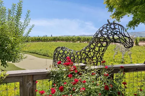 Other - 55 Hunter Ranch Rd, Napa, CA 94558 photo 28 of 32