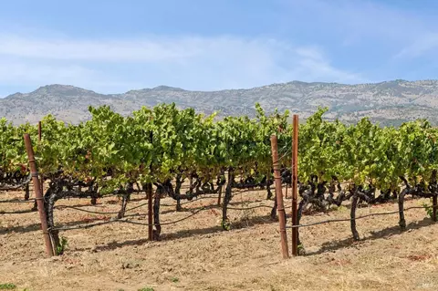 Other - 55 Hunter Ranch Rd, Napa, CA 94558 photo 29 of 32