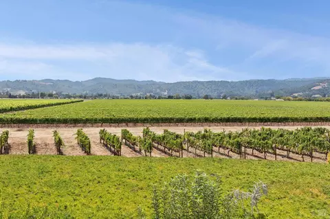 View/Area - 55 Hunter Ranch Rd, Napa, CA 94558 photo 4 of 4