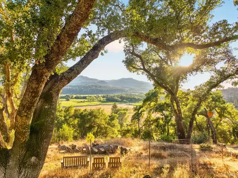 318 Crystal Springs Rd, Saint Helena, CA 94574
