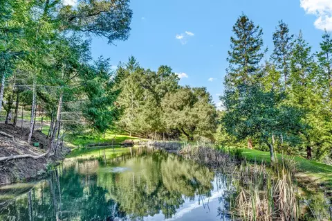 View/Area - 40 Los Pinos, Nicasio, CA 94946 photo 3 of 4