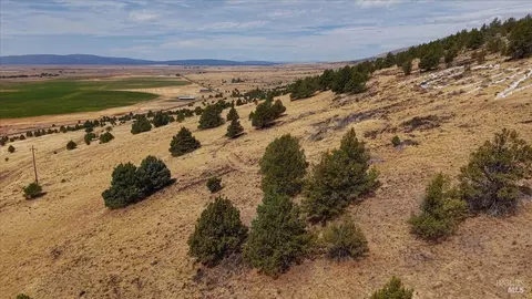 0 County Rd, Adin, CA 96006 photo 7
