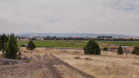 0 County Rd, Adin, CA 96006 photo 6