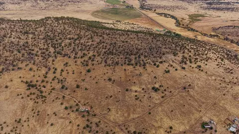 0 County Rd, Adin, CA 96006 photo 9