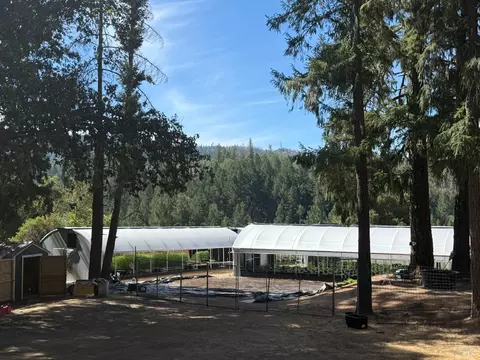 16900 Old Boy Scout Rd, Willits, CA 95490 photo 22