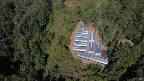 16900 Old Boy Scout Rd, Willits, CA 95490 photo 3
