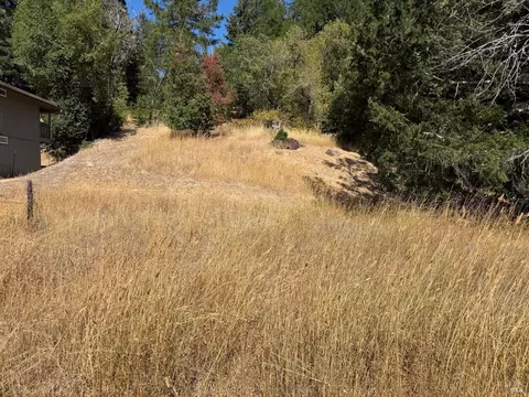 25521 Madrone Way, Willits, CA 95490 photo 3