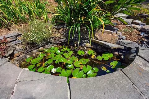 Other - 646 Ridgewood Ave, Mill Valley, CA 94941 photo 10 of 10