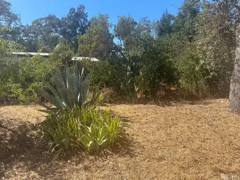 424 Clark Way, Angwin, CA 94508 photo 33