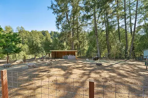 Exterior - 16560 Coleman Valley Rd, Occidental, CA 95465 photo 20 of 29