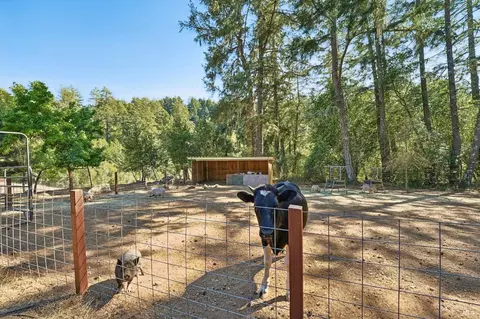 Exterior - 16560 Coleman Valley Rd, Occidental, CA 95465 photo 21 of 29