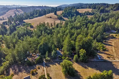 View/Area - 16560 Coleman Valley Rd, Occidental, CA 95465 photo 5 of 6