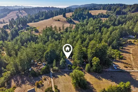 View/Area - 16560 Coleman Valley Rd, Occidental, CA 95465 photo 6 of 6