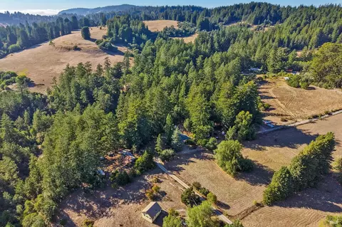 View/Area - 16560 Coleman Valley Rd, Occidental, CA 95465 photo 4 of 6