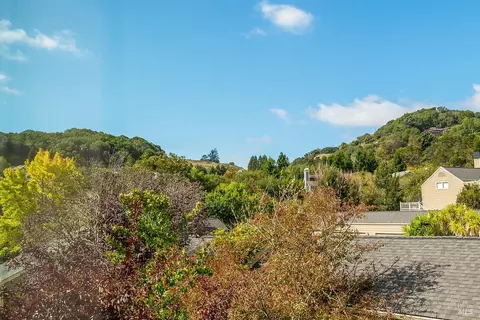 Other - 41 Parkview Cir, Corte Madera, CA 94925 photo 3 of 5