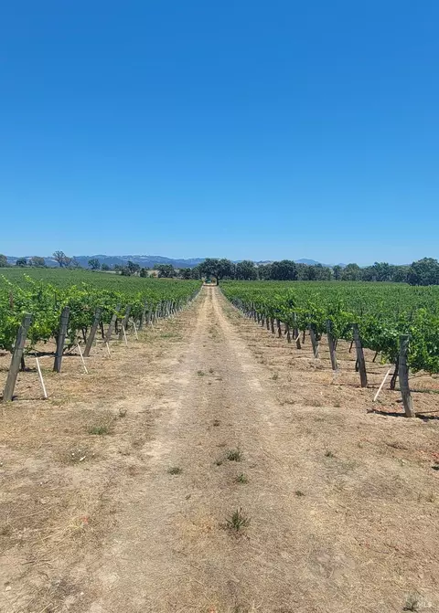 2892 Mark West Station Rd, Windsor, CA 95492 photo 6