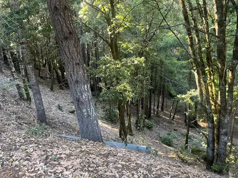 2581 Primrose Dr, Willits, CA 95490 photo 5