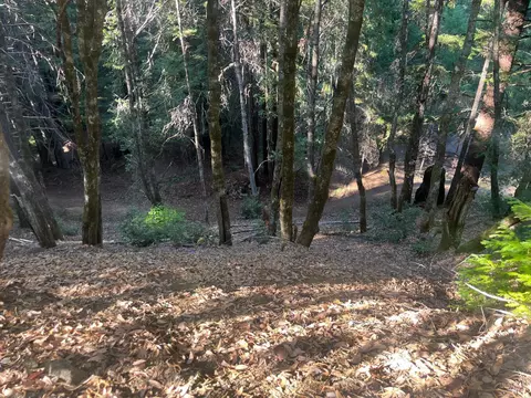 2581 Primrose Dr, Willits, CA 95490 photo 6