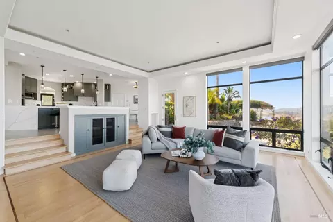 Living - 207 Taylor Rd, Tiburon, CA 94920 photo 9 of 9