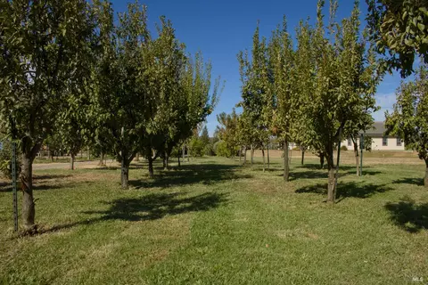 Exterior - 8320 Shadi Ln, Winters, CA 95694 photo 6 of 30