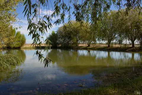 View/Area - 8320 Shadi Ln, Winters, CA 95694 photo 3 of 3