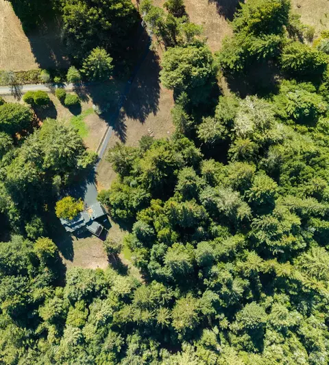 View/Area - 819 Jonive Rd, Sebastopol, CA 95472 photo 6 of 6