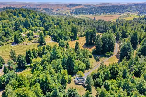 819 Jonive Rd, Sebastopol, CA 95472 photo 3
