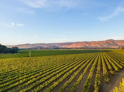 6950 Yount St, Yountville, CA 94599