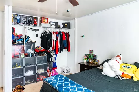 Other - 32 Boxelder Ct, Napa, CA 94558 photo 7 of 12