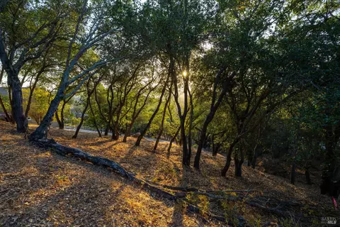 0 E Spring St, Napa, CA 94559 photo 7