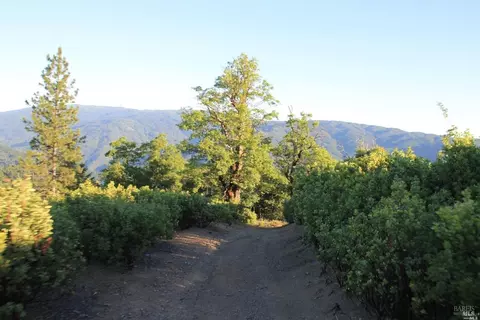 0 Mendocino Pass Rd, Covelo, CA 95428 photo 12