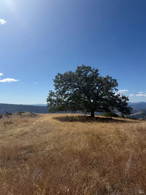 0 Mendocino Pass Rd, Covelo, CA 95428 photo 27