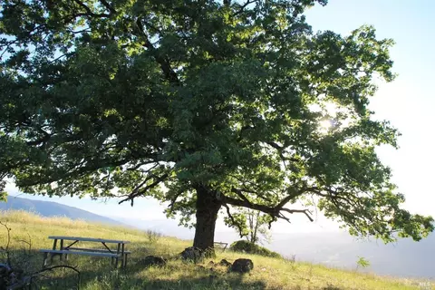 0 Mendocino Pass Rd, Covelo, CA 95428 photo 8