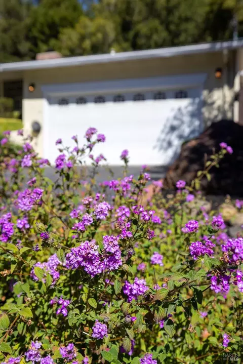 Exterior - 323 Rheem Blvd, Moraga, CA 94556 photo 8 of 34