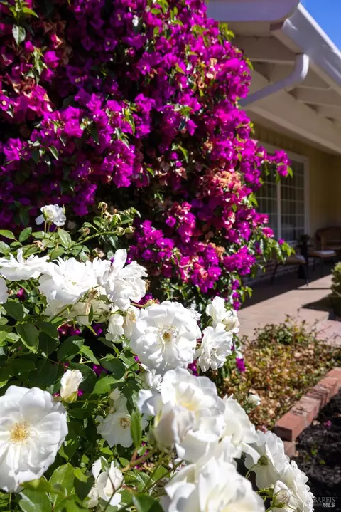 Exterior - 323 Rheem Blvd, Moraga, CA 94556 photo 7 of 34