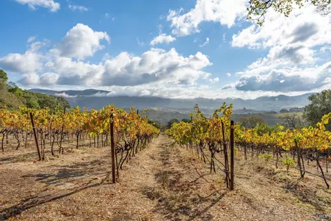 Other - 600 Stonecrest Dr, Napa, CA 94558 photo 12 of 12