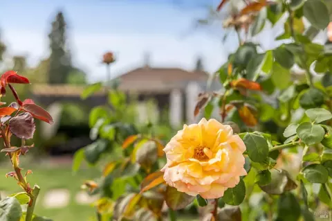 Exterior - 483 E Napa St, Sonoma, CA 95476 photo 21 of 32