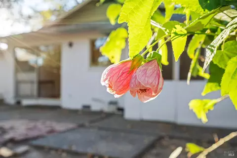 Exterior - 580 E Thomson Ave, Sonoma, CA 95476 photo 5 of 7