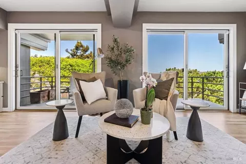 Living - 31 Edwards Ave, Sausalito, CA 94965 photo 7 of 8