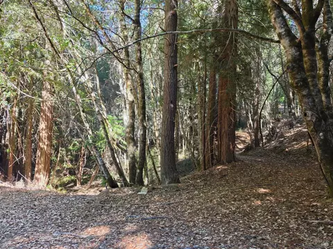 16100 Mariposa Creek Rd, Willits, CA 95490 photo 3