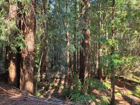 16100 Mariposa Creek Rd, Willits, CA 95490 photo 6