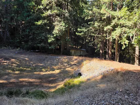 16100 Mariposa Creek Rd, Willits, CA 95490 photo 2