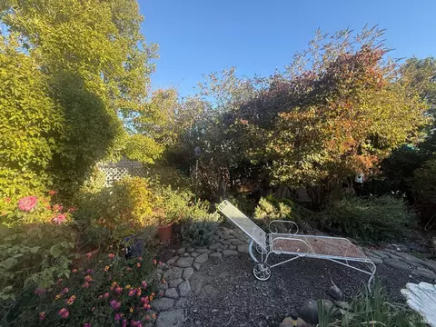 113 Robin St, Napa, CA 94558 photo 22