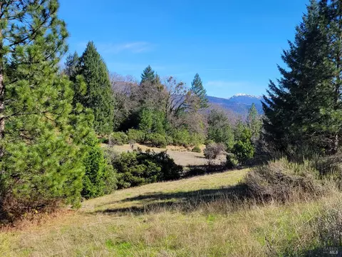 43281 Covelo Rd, Willits, CA 95490 photo 13