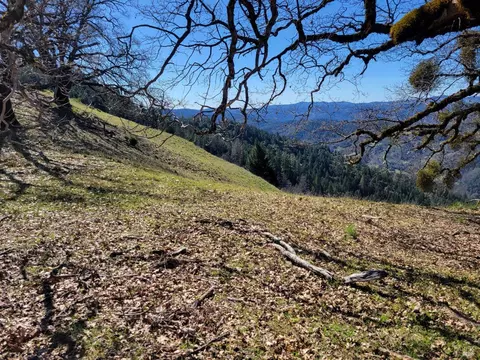 43281 Covelo Rd, Willits, CA 95490 photo 10