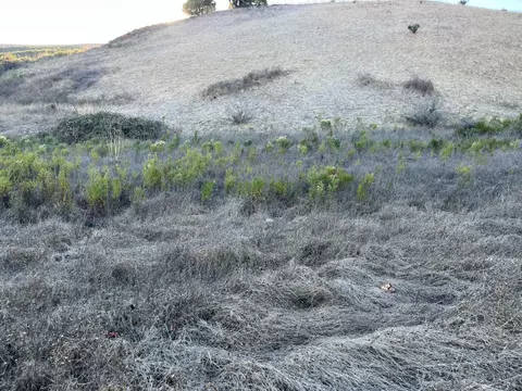 0 Hiddenbrooke Pkwy, Vallejo, CA 94591 photo 5