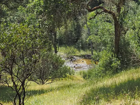 View/Area - 1575 Foxridge Rd, Geyserville, CA 95441 photo 1 of 4