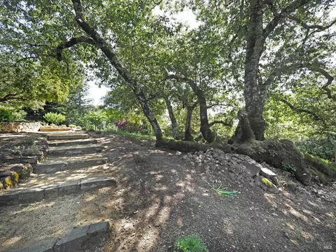 Exterior - 1575 Foxridge Rd, Geyserville, CA 95441 photo 11 of 17