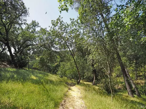 Exterior - 1575 Foxridge Rd, Geyserville, CA 95441 photo 16 of 17