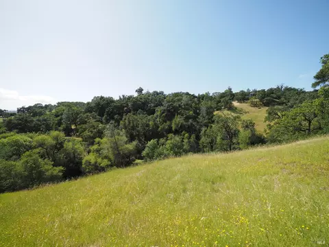 Other - 1575 Foxridge Rd, Geyserville, CA 95441 photo 4 of 13